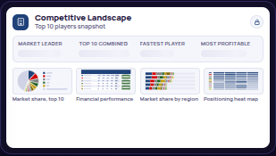 Competitive Landscape report preview